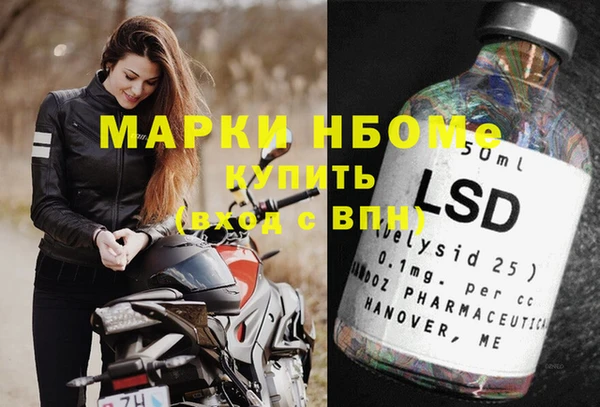 гашик Анжеро-Судженск