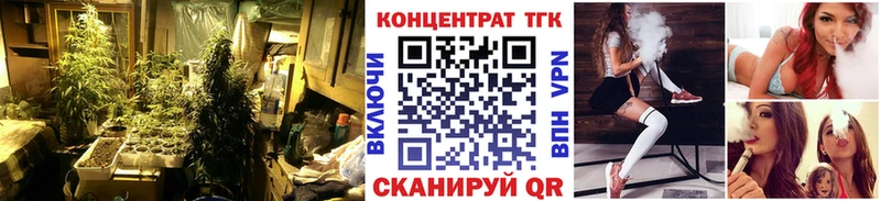 MEGA ONION  Мамоново  Дистиллят ТГК жижа 