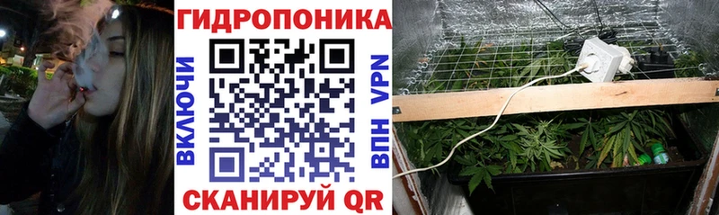 Бошки марихуана конопля  как найти   сайты даркнета официальный сайт  Мамоново 